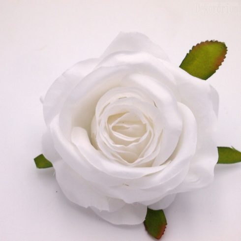 Nyílott rózsafej 2