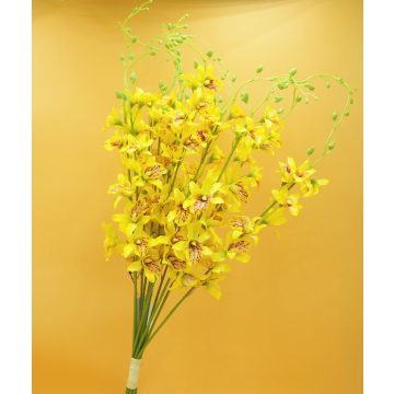 Orchidea köteg - hosszú sárga