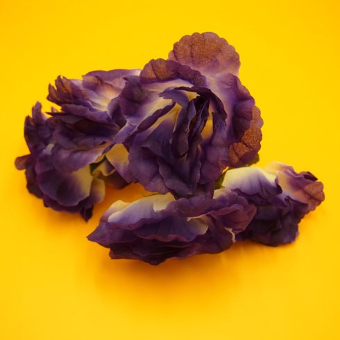 Nagyfejű rózsacsokor - rövíd