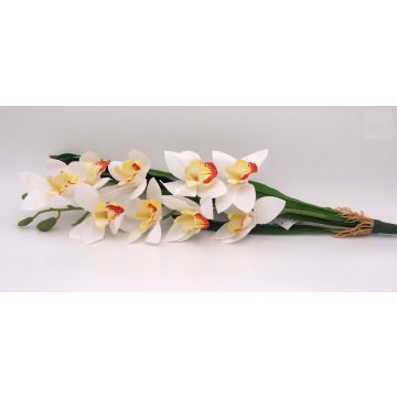 Gumi orchidea ág - cymbidium