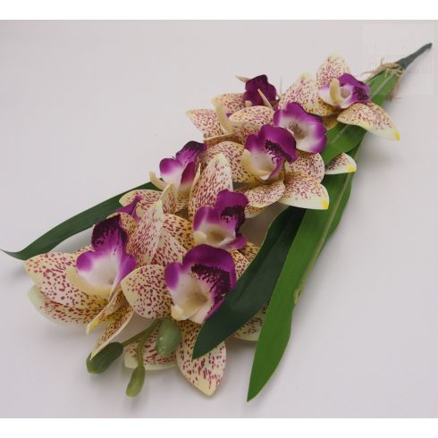 Gumi orchidea ág - cymbidium