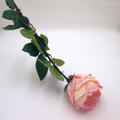 Nyílott rózsaszál tüskével