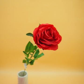 Piros rózsa szál