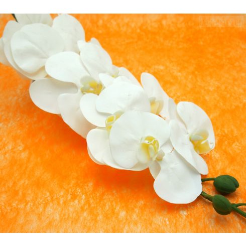 Gumi orchidea szál