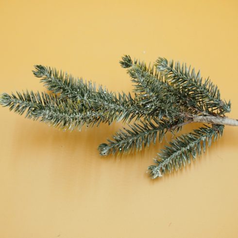 Fenyőág - kicsi