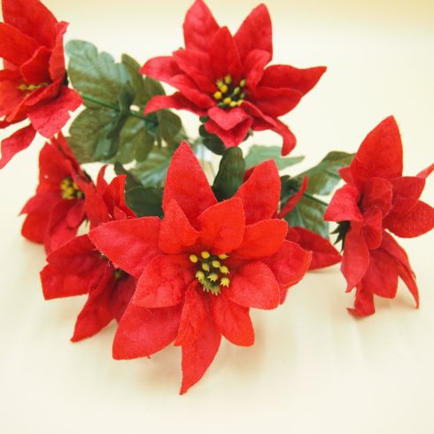 Mikulásvirág csokor - bársonyos