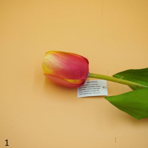 Tulipán szál - 6 színben