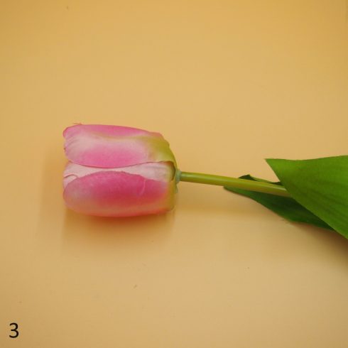 Tulipán szál - 6 színben