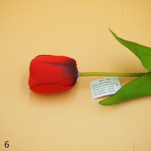 Tulipán szál - 6 színben