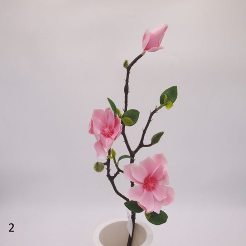 Magnólia ág 2