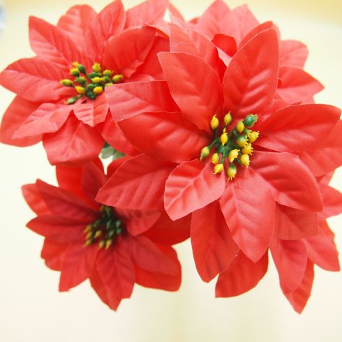 Mikulásvirág csokor 7