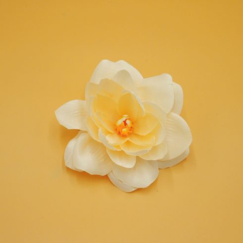 Tavirózsa - lótusz fej