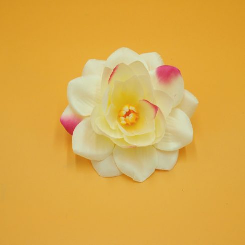 Tavirózsa - lótusz fej