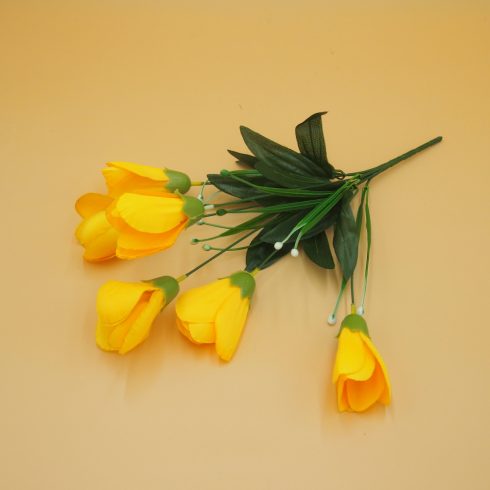 Crocus csokor - nagy fejű