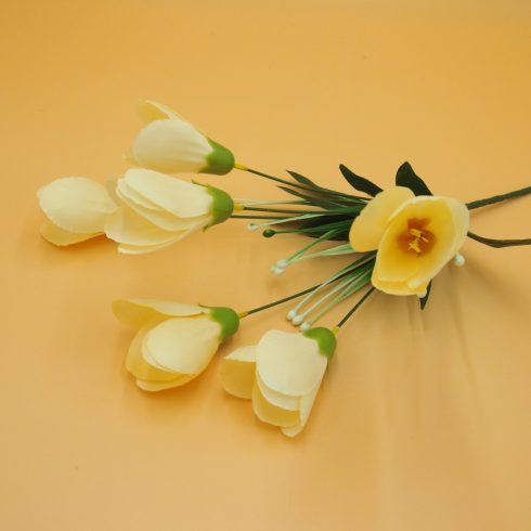 Crocus csokor - nagy fejű