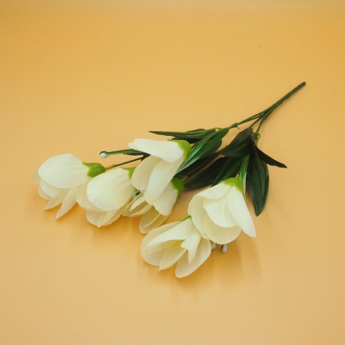 Crocus csokor - nagy fejű