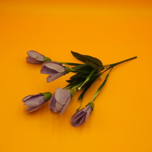 Crocus csokor - nagy fejű