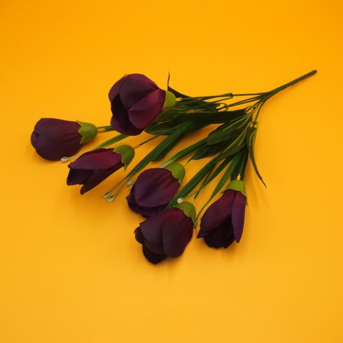 Crocus csokor - nagy fejű