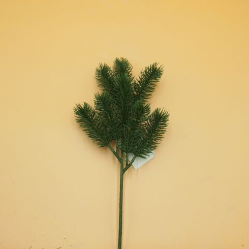 Fenyőág - kis zöld