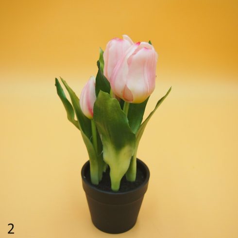 Cserepes gumi tulipán