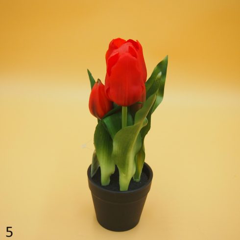 Cserepes gumi tulipán