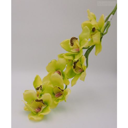 Orchidea szál 2