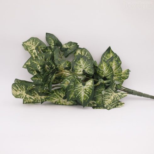 Rövíd futó - 4 fajta levéllel