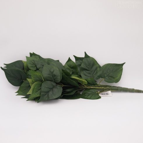 Rövíd futó - 4 fajta levéllel