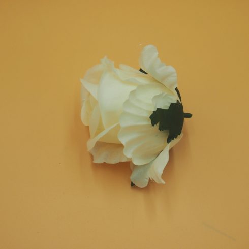 Félignyílt rózsafej