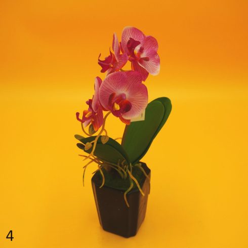 Cserepes gumi orchidea 8