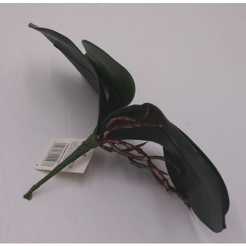 Gumi orchidea levél - közepes