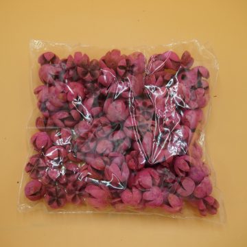 Chiruni - pink