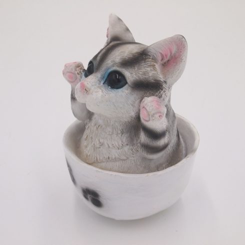 Cirmos cica csészében