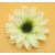 Dália fej - 3 rétegű