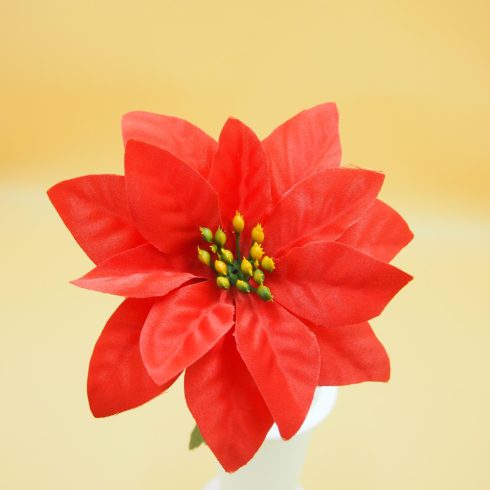 Mikulásvirág szál